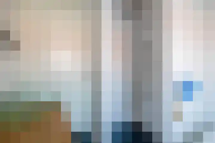 de Reep 4 Reusel thumbnail 22