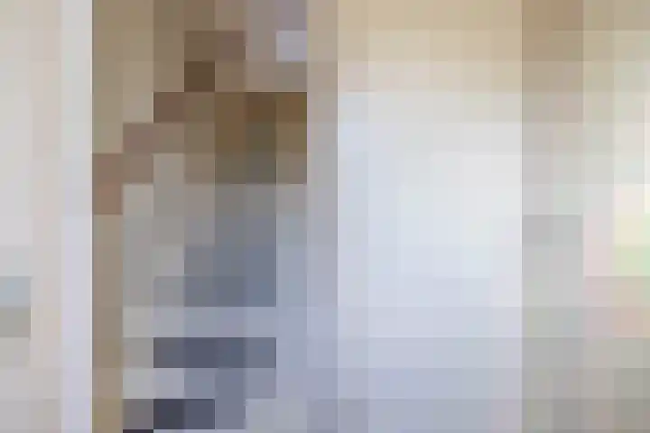 de Reep 4 Reusel thumbnail 7