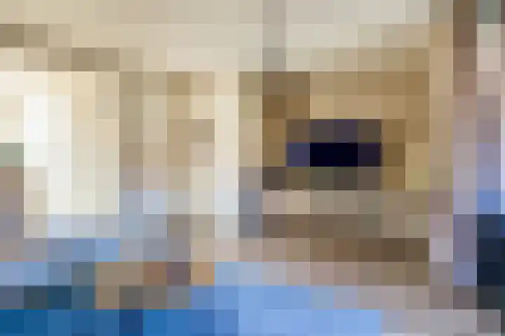 de Reep 4 Reusel thumbnail 9