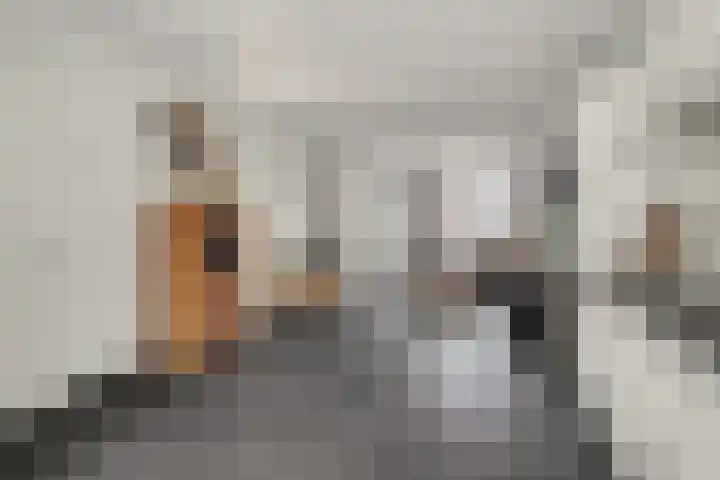 de Reep 6 Reusel thumbnail 11