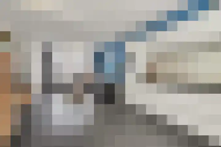 de Reep 6 Reusel thumbnail 12
