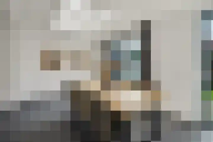 de Reep 6 Reusel thumbnail 13