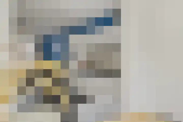 de Reep 6 Reusel thumbnail 18