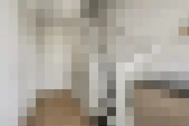 de Reep 6 Reusel thumbnail 31