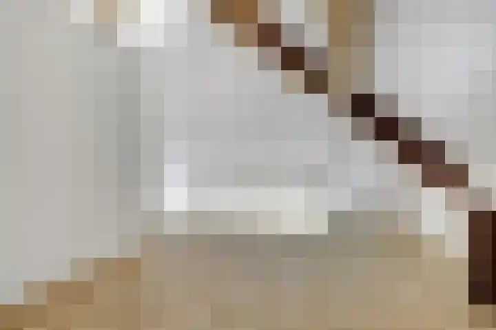 de Reep 6 Reusel thumbnail 32