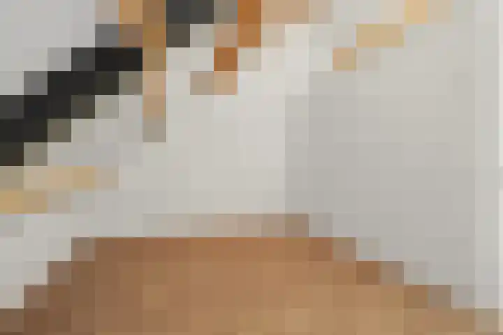 de Reep 6 Reusel thumbnail 33