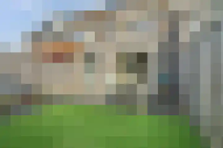 de Reep 6 Reusel thumbnail 36