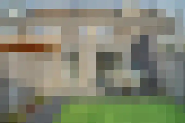 de Reep 6 Reusel thumbnail 40