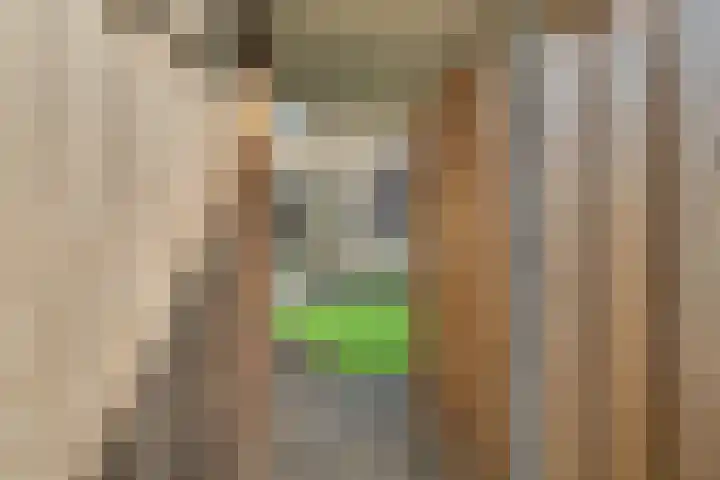 de Reep 6 Reusel thumbnail 41