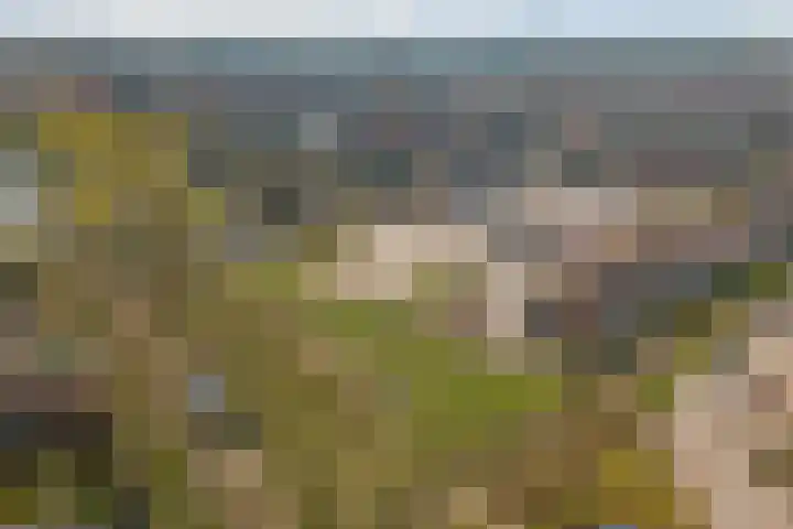 de Reep 6 Reusel thumbnail 45