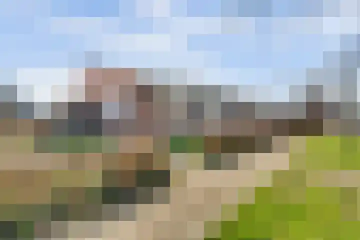 de Reep 6 Reusel thumbnail 46