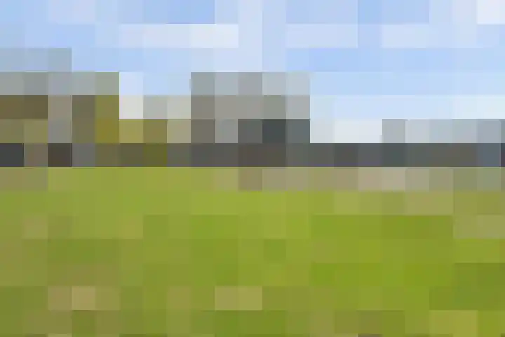 de Reep 6 Reusel thumbnail 47