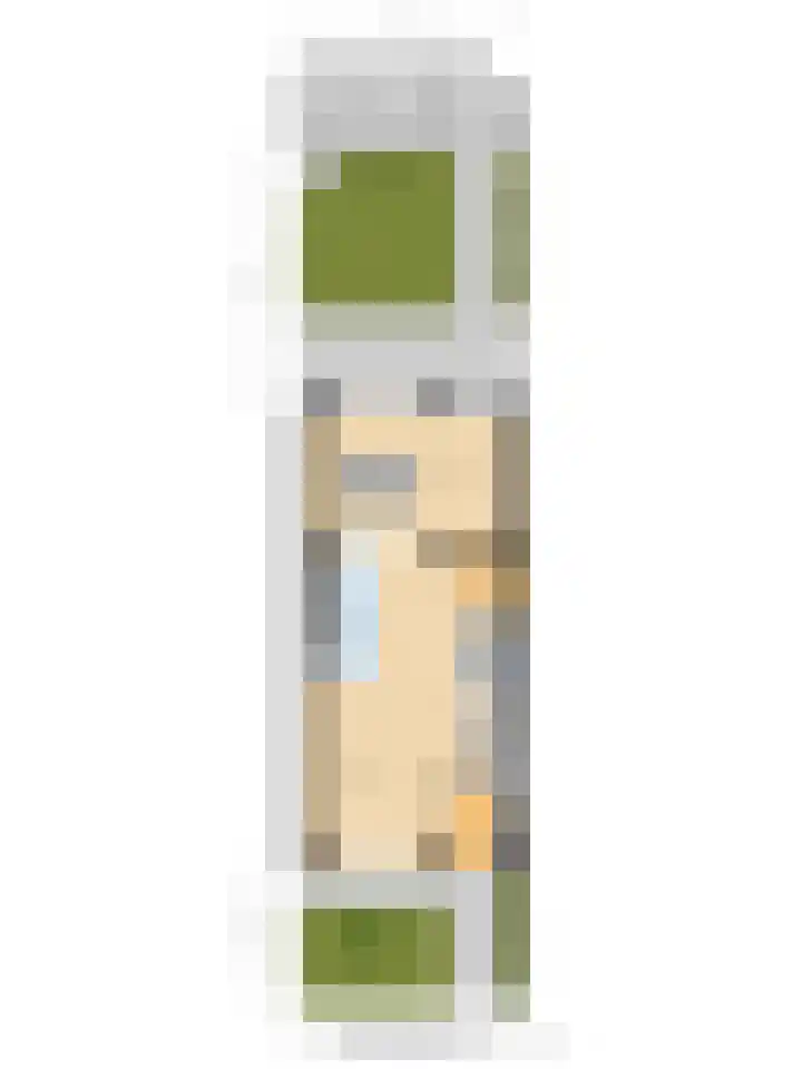 de Reep 6 Reusel thumbnail 52