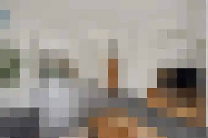 de Reep 6 Reusel thumbnail 9