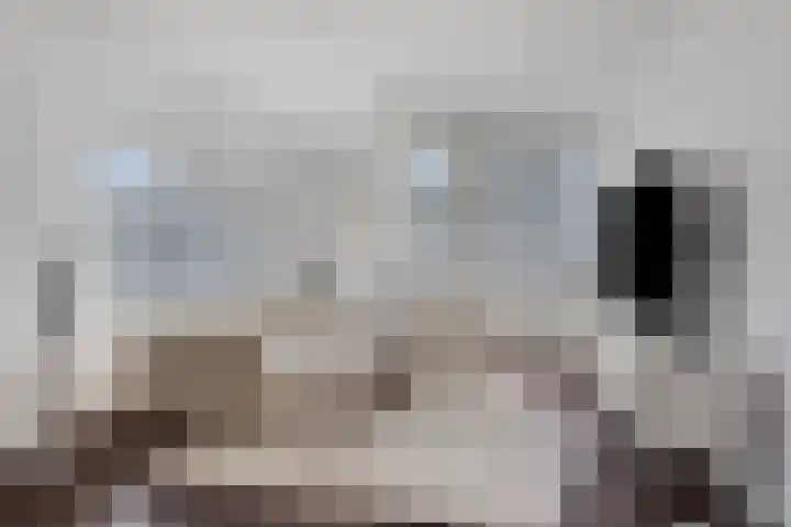De Regent 72 Eindhoven thumbnail 8