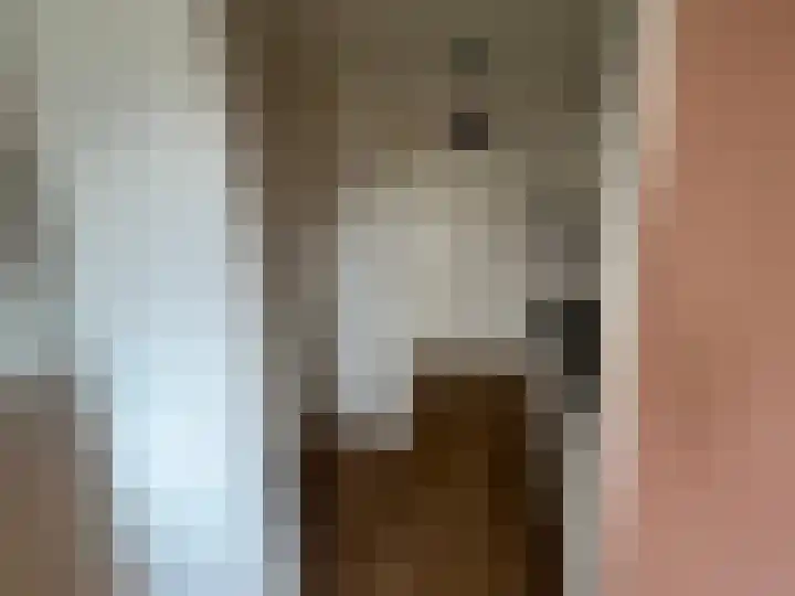 Logo De Regentes, NVM Makelaardij in onroerende zaken