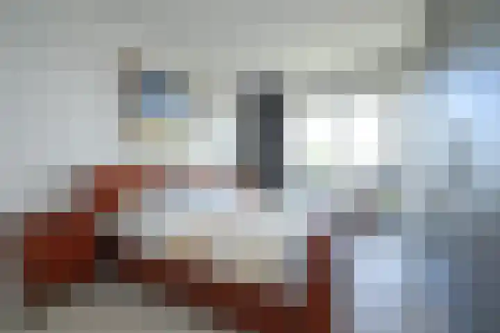 De Regentesse 14 Huizen thumbnail 12