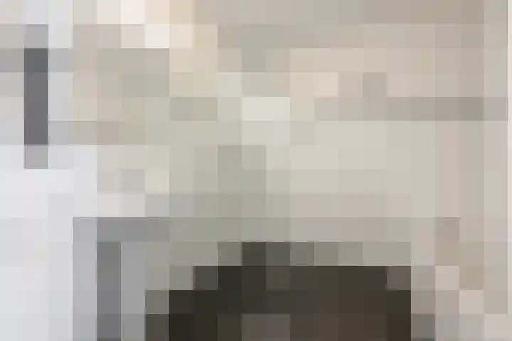 De Regentesse 14 Huizen thumbnail 14