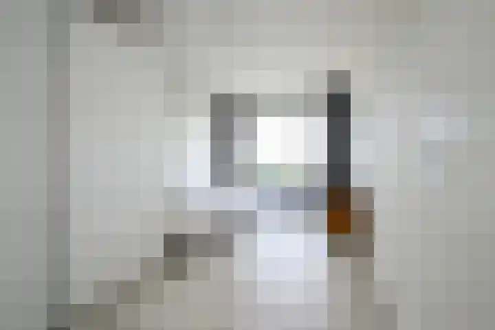 De Regentesse 14 Huizen thumbnail 17