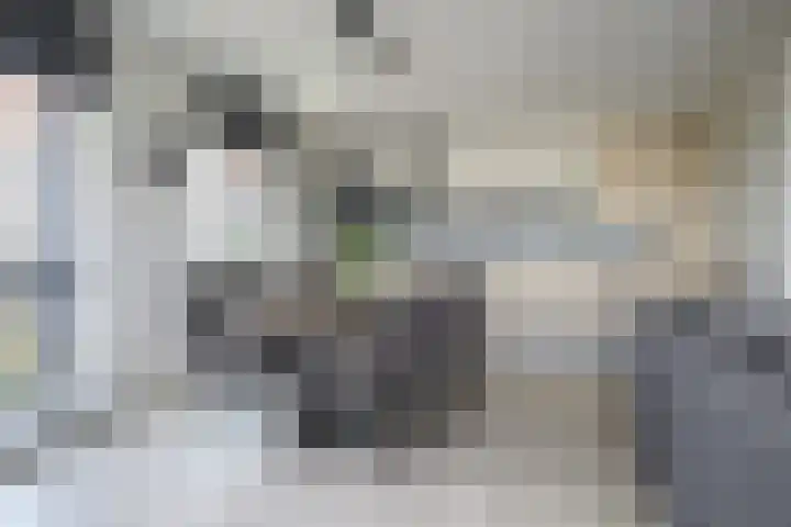 De Regentesse 14 Huizen thumbnail 24