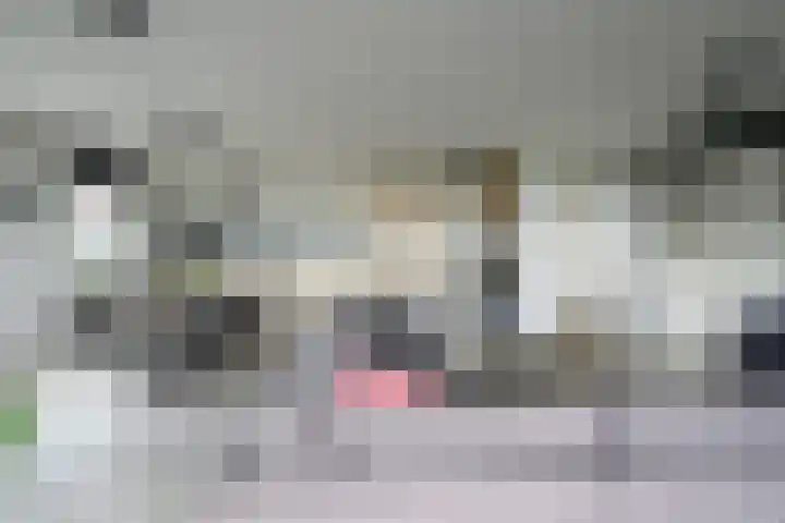 De Regentesse 14 Huizen thumbnail 30