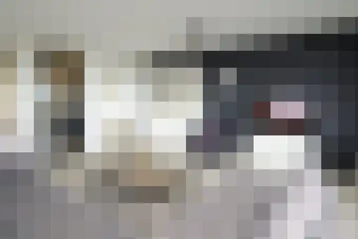 De Regentesse 14 Huizen thumbnail 32