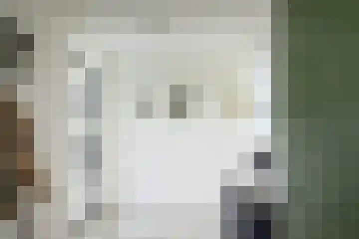 De Regentesse 14 Huizen thumbnail 9