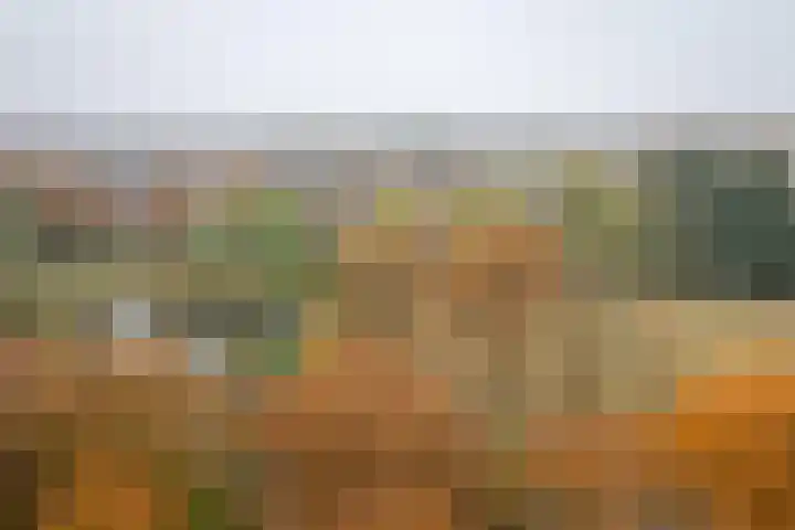De Regentesse 88 Huizen thumbnail 11