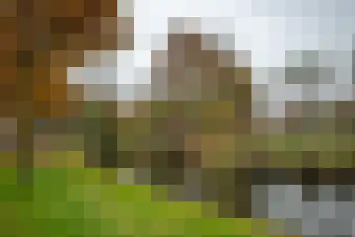 De Regentesse 88 Huizen thumbnail 14