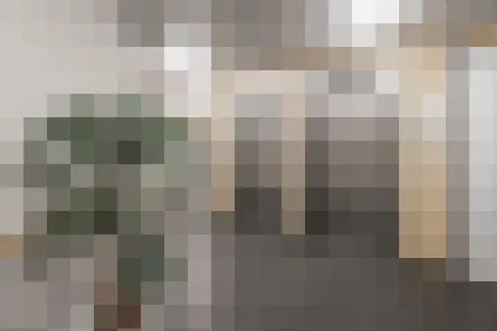De Regentesse 88 Huizen thumbnail 5