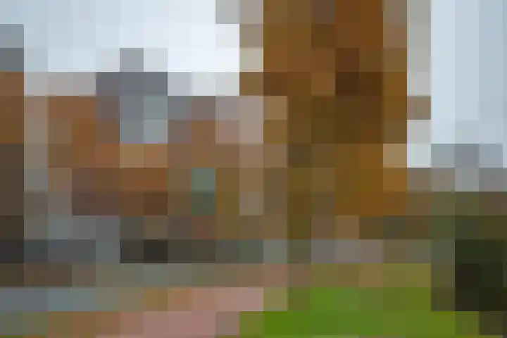 De Regentesse 88 Huizen thumbnail 7