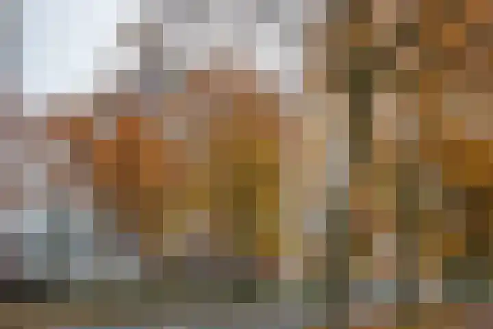 De Regentesse 88 Huizen thumbnail 9