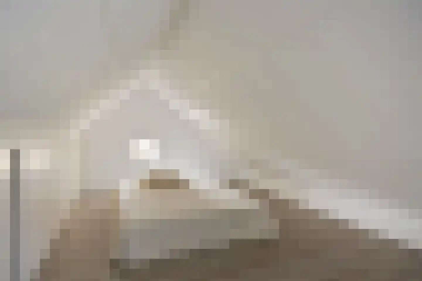 de Regge 11 Delden thumbnail 30