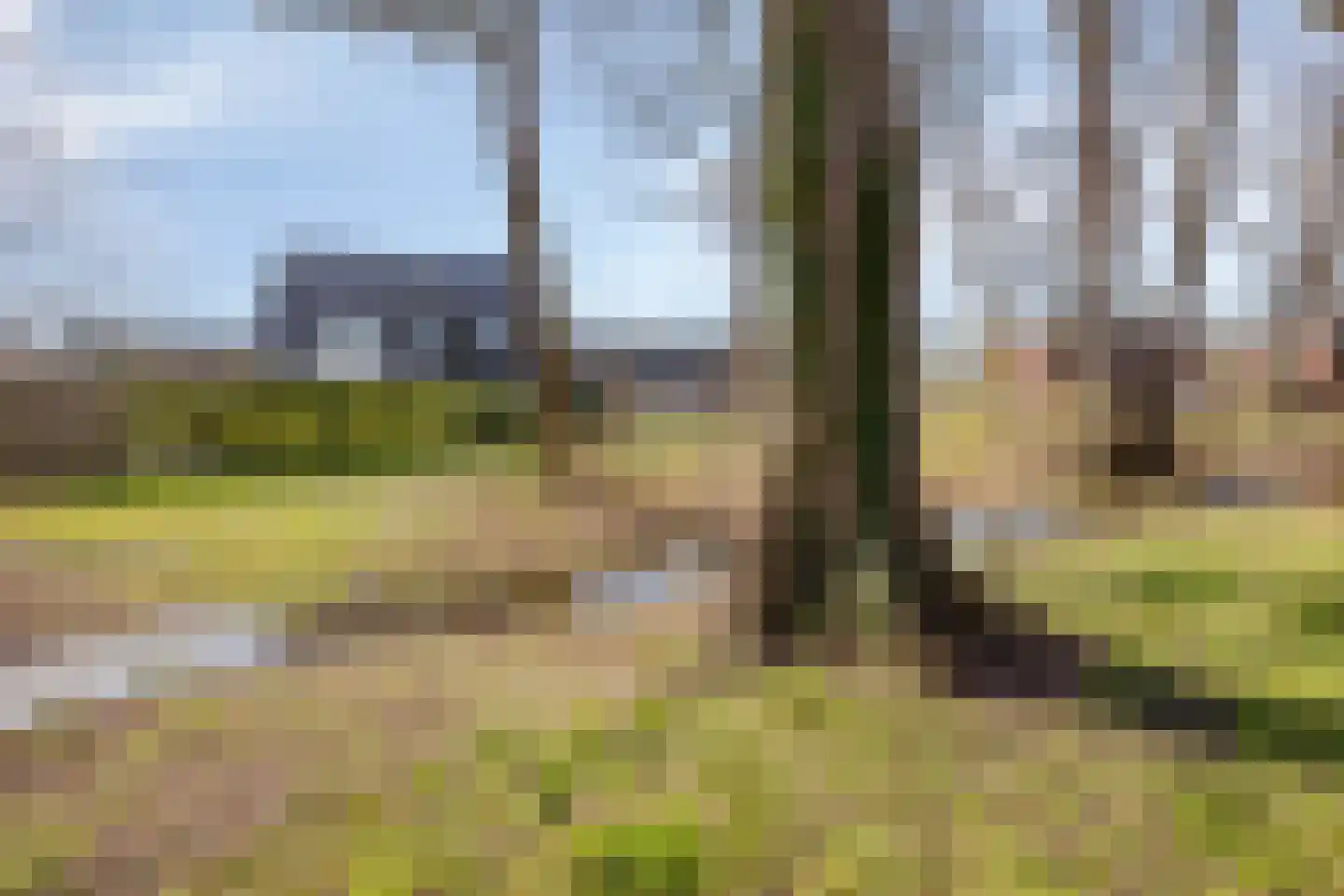 de Regge 11 Delden thumbnail 44