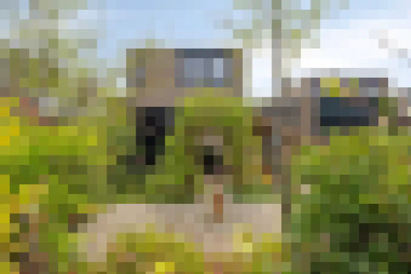 Logo Dé Register Makelaar B.V.