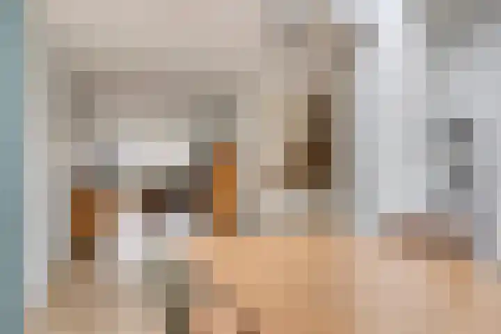 De Reiger 17 Dronten thumbnail 11