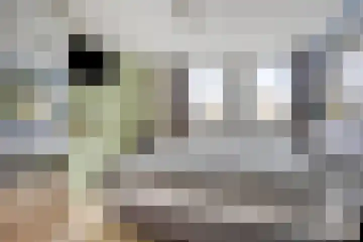 De Reiger 17 Dronten thumbnail 22