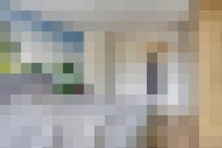 De Reiger 17 Dronten thumbnail 23