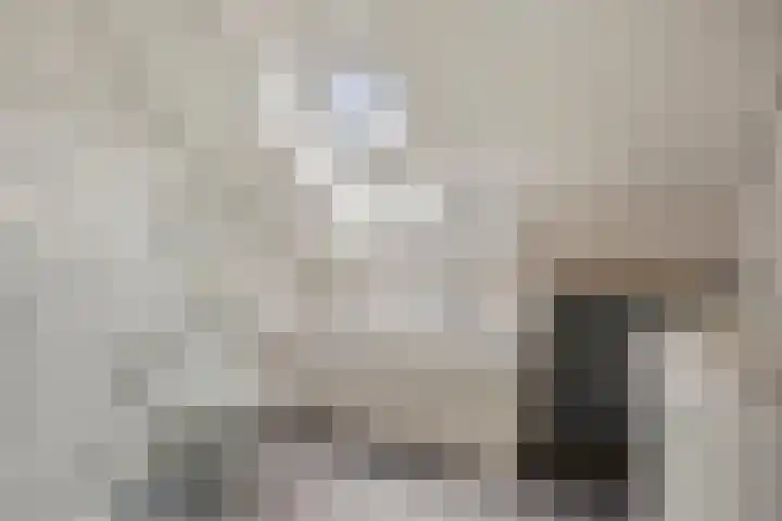 De Reiger 17 Dronten thumbnail 27