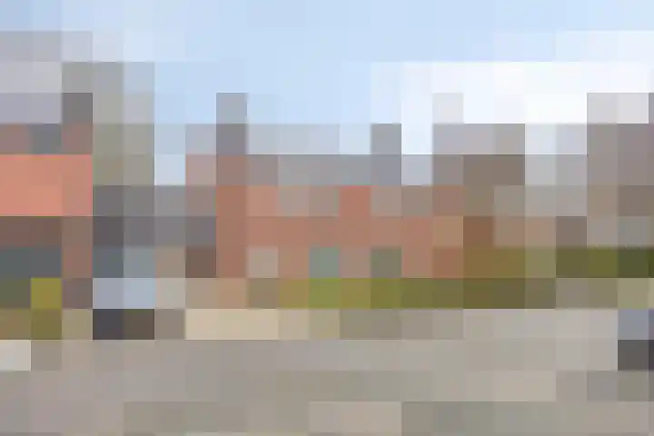 De Reiger 17 Dronten foto 3