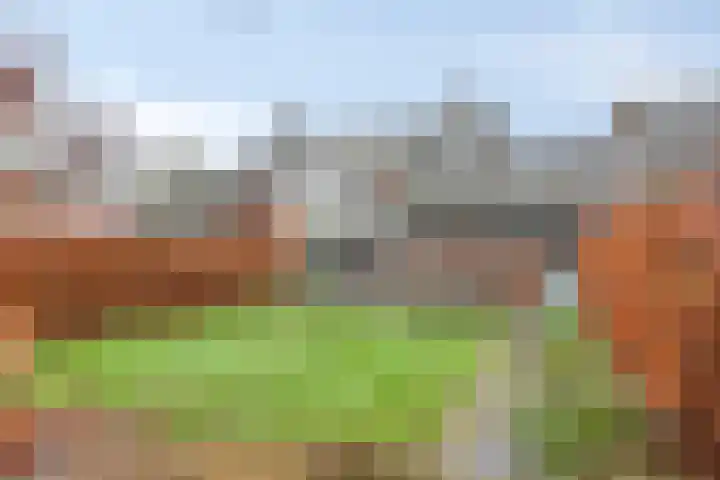 De Reiger 17 Dronten thumbnail 36