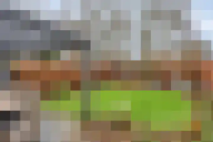 De Reiger 17 Dronten thumbnail 39
