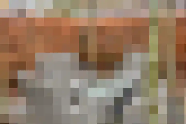 De Reiger 17 Dronten thumbnail 41