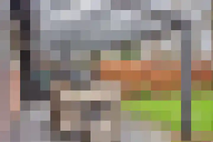 De Reiger 17 Dronten thumbnail 43