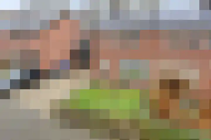 De Reiger 17 Dronten thumbnail 46