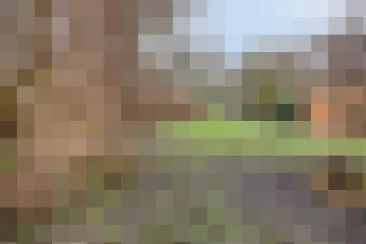 De Reiger 17 Dronten thumbnail 47