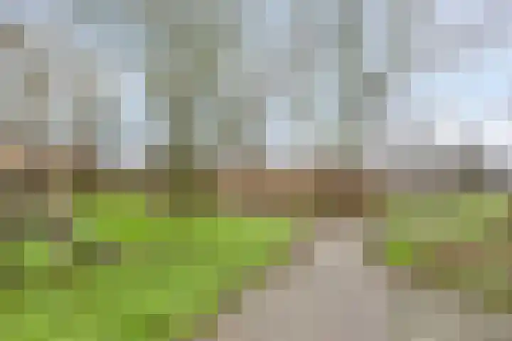 De Reiger 17 Dronten thumbnail 48