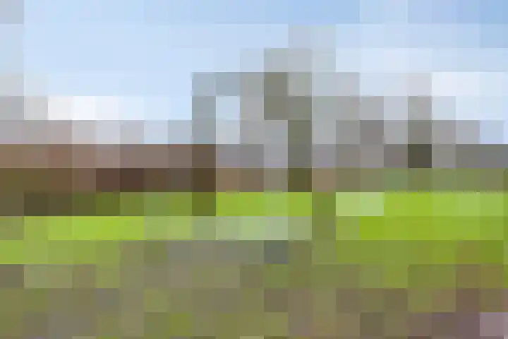 De Reiger 17 Dronten thumbnail 49