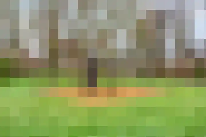 De Reiger 17 Dronten thumbnail 50