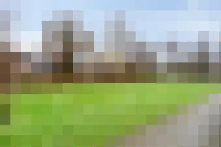 De Reiger 17 Dronten thumbnail 51